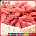 Bagas de goji Berry som em chinês repleto em plenitude carnuda hindi em massa